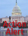 action alert